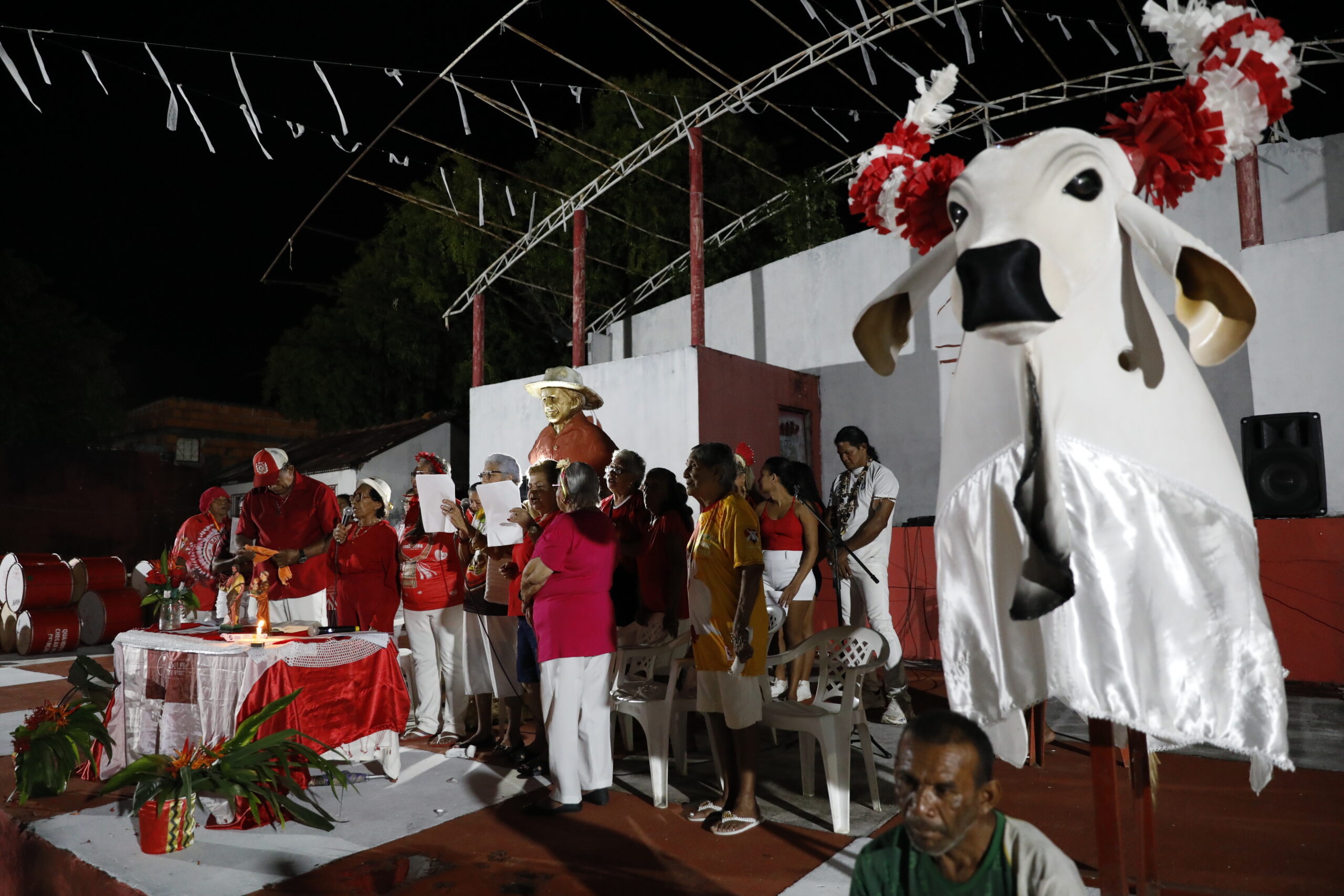 Boi Caprichoso arrasta multidão no 'Boi de Rua' - Portal Cultura do AM