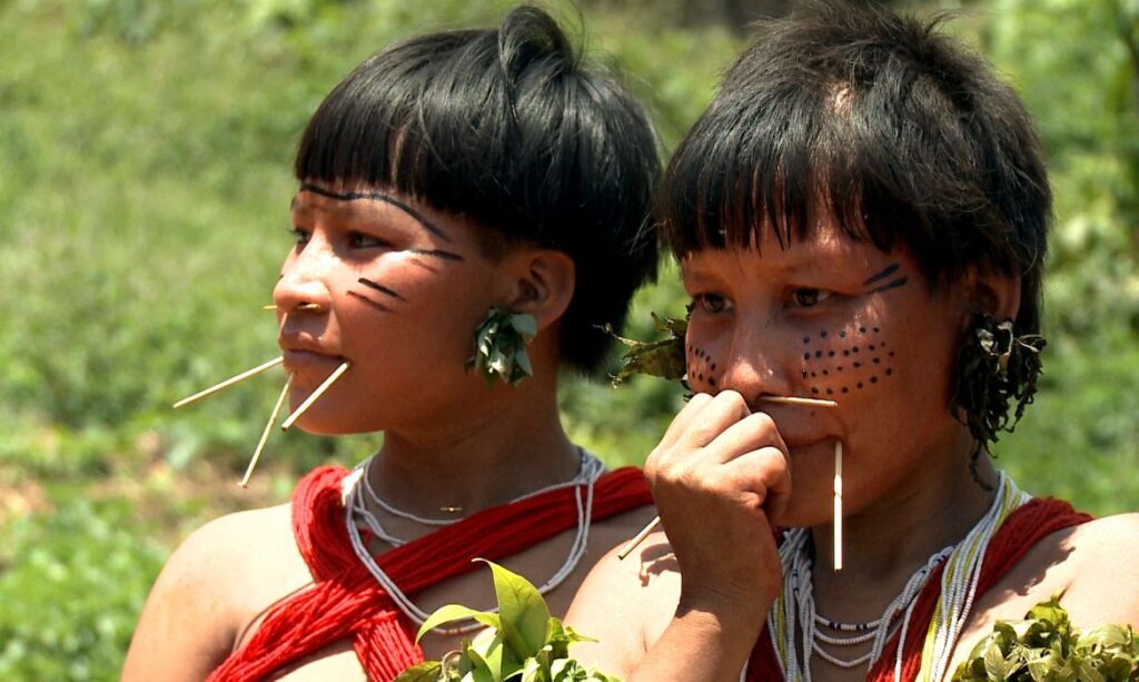 indigenas yanomami-capa