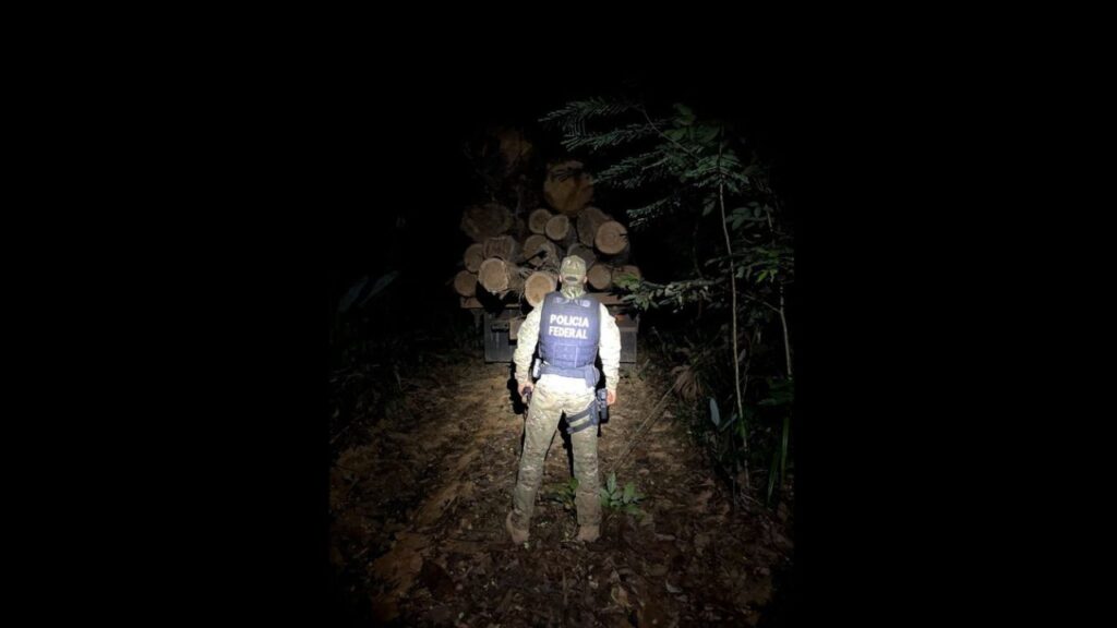 Caminhão com madeira encontrado sendo destruído pela PF.