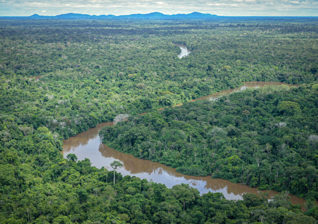 fundo amazônia-capa