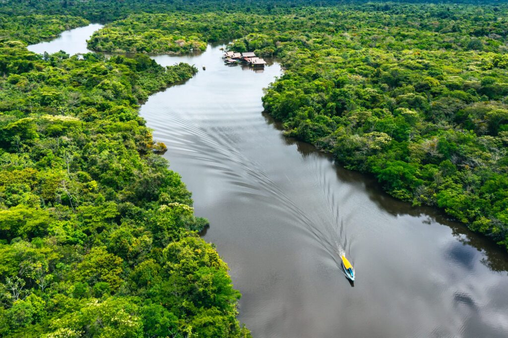 mês da amazônia-capa