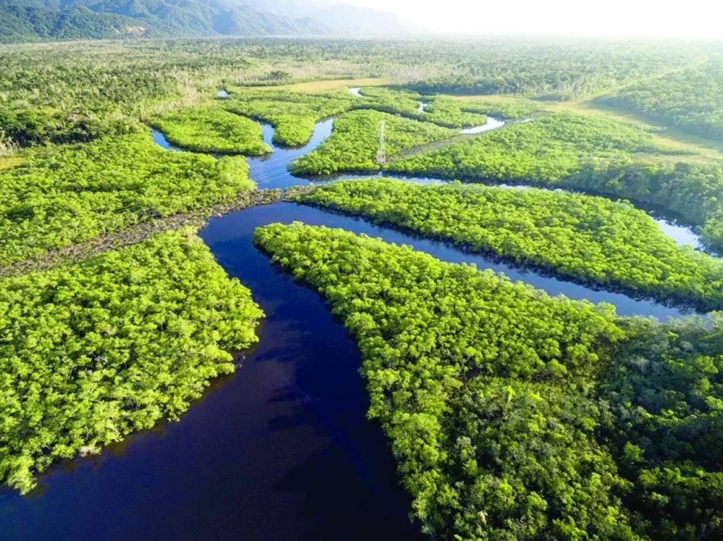amazônia resiliente-capa