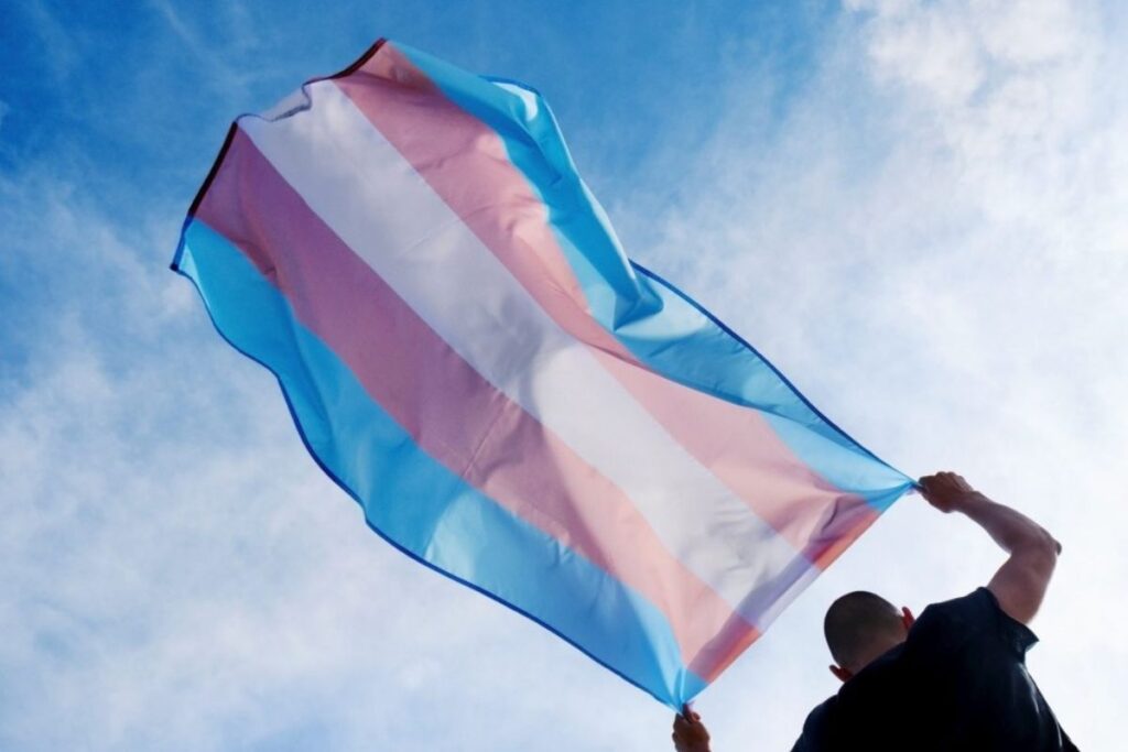 mudança de sexo-bandeira trans-capa