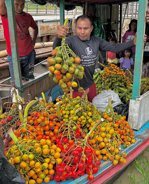 Nesta sexta-feira (07/03), quatro toneladas de alimentos produzidas por 16 agricultores familiares indígenas de Envira (a 1.208 quilômetros de Manaus) tiveram como destino a Casa de Apoio à Saúde Indígena (Casai) do município. A logística para a entrega dos itens, que foram adquiridos por meio do Programa de Aquisição de Alimentos (PAA) Indígena, foi efetuada pelo Instituto de Desenvolvimento Agropecuário e Florestal Sustentável do Estado do Amazonas (Idam).  