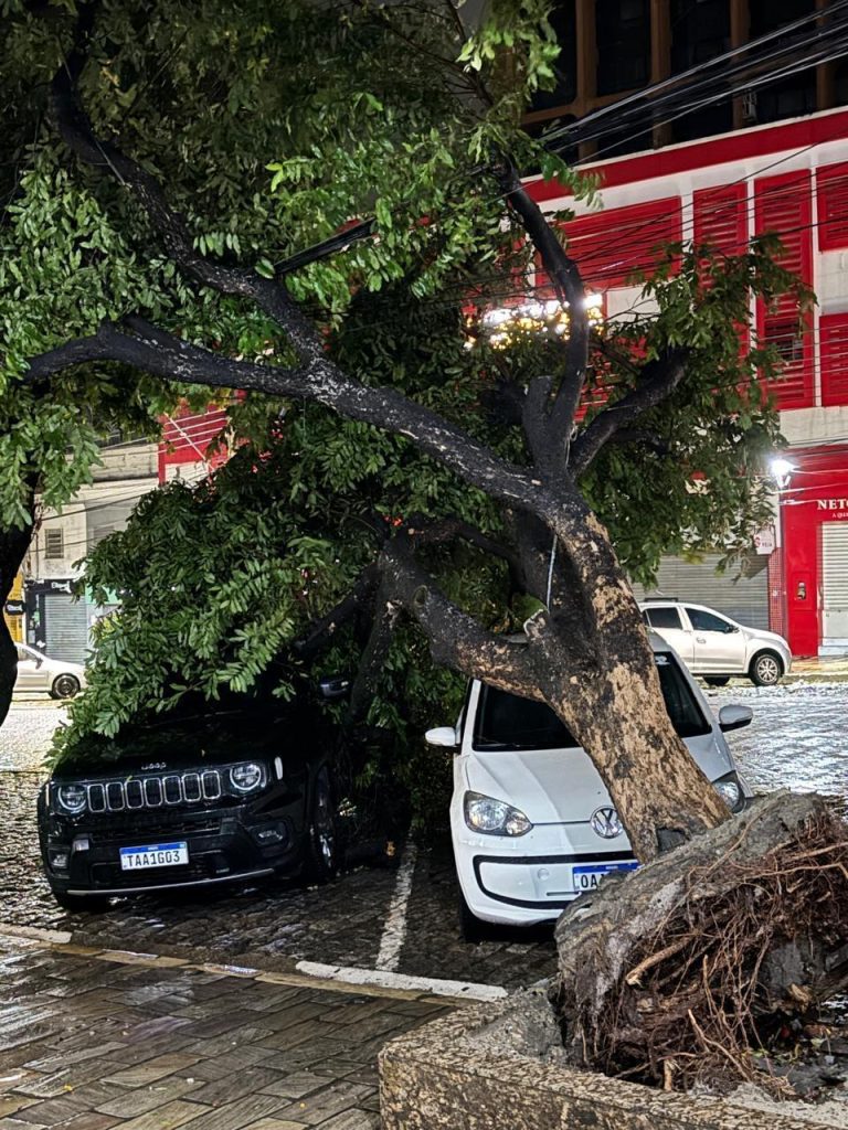 Corpo de Bombeiros atendeu 45 ocorrências após forte chuva em Manaus