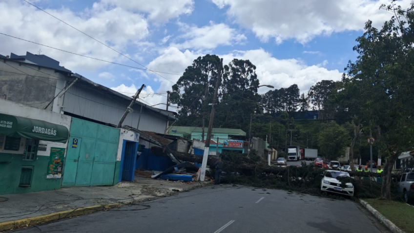 Vendaval que atingiu SP com rajadas de 98 km/h é considerado histórico