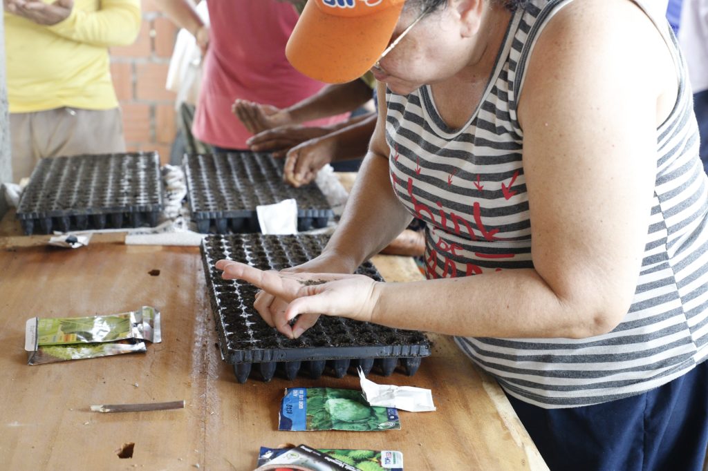 Fortalecimento do setor primário: Sepror qualifica mais de 4 mil produtores rurais em 2025