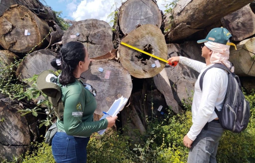Portaria do Ipaam ajusta valores da reposição florestal e incentiva a legalidade