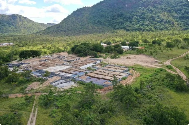‘Piscinas de cianeto’ ameaçam três comunidades indígenas da Raposa Serra do Sol em Roraima, diz MPF