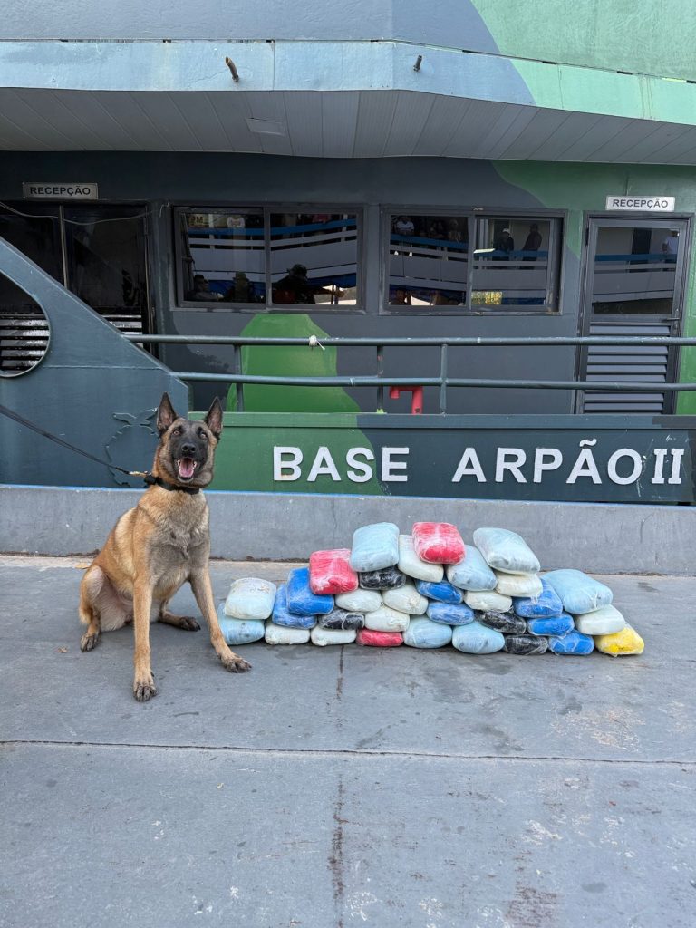 Base Arpão 2: Drogas avaliadas em R$ 800 mil foram apreendidas em camarote do comandante de embarcação