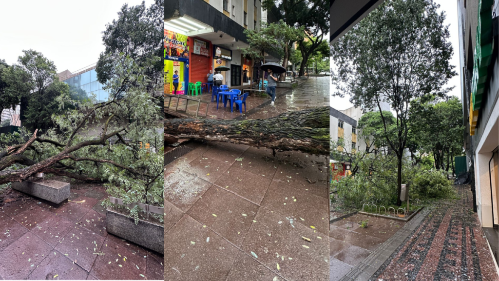 Governo Federal reconhece emergência em cidades de Minas Gerais; Inmet alerta