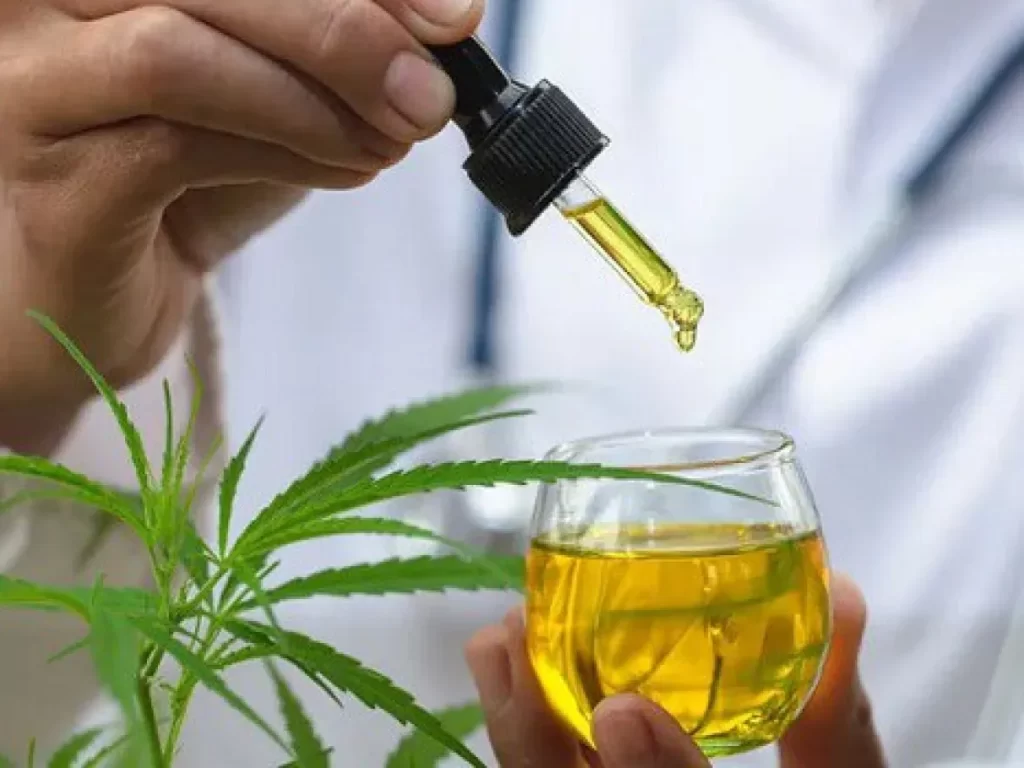Anvisa aprova novas regras para uso da cannabis medicinal no Brasil