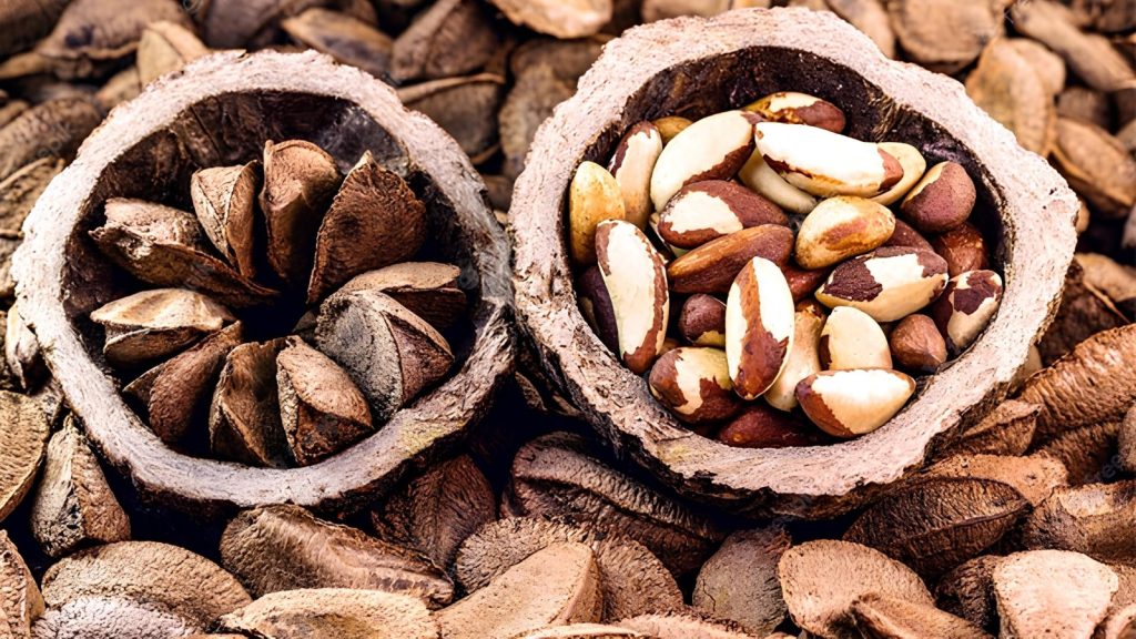 Brasil abre mercado de castanha-do-Brasil para a Turquia