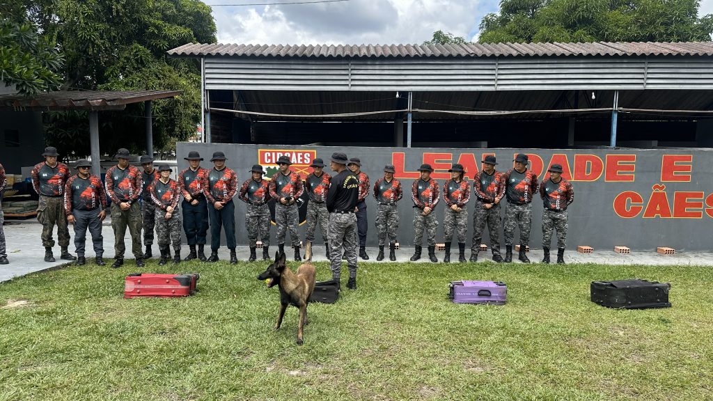 Polícia Militar do Amazonas qualifica policiais que conduzirão cães farejadores na detecção de substâncias