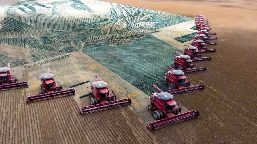 Puxada pelo Agro, atividade econômica brasileira cresce 2,5% em 2025