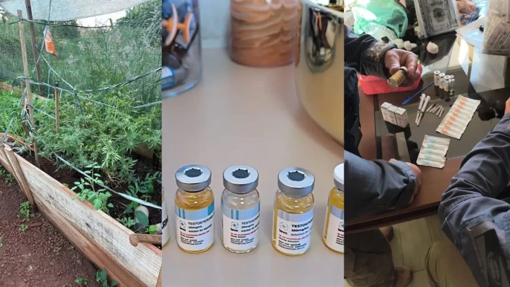 Grupo é preso por fabricar e vender anabolizantes clandestinos no Paraná