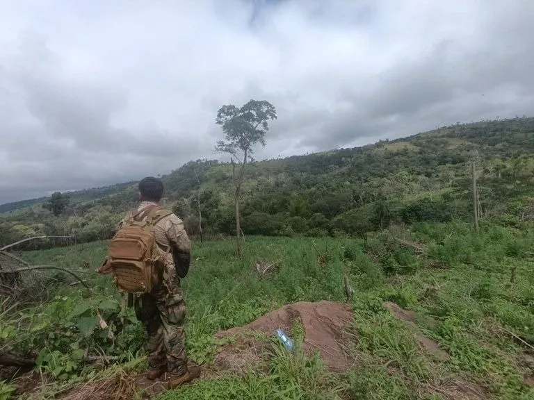 Operação da Polícia Federal combate narcotráfico na fronteira com Paraguai
