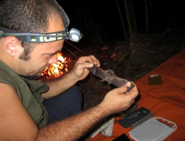 Pesquisa apoiada pelo Governo do Amazonas amplia conhecimento sobre biodiversidade e impactos ambientais na Amazônia