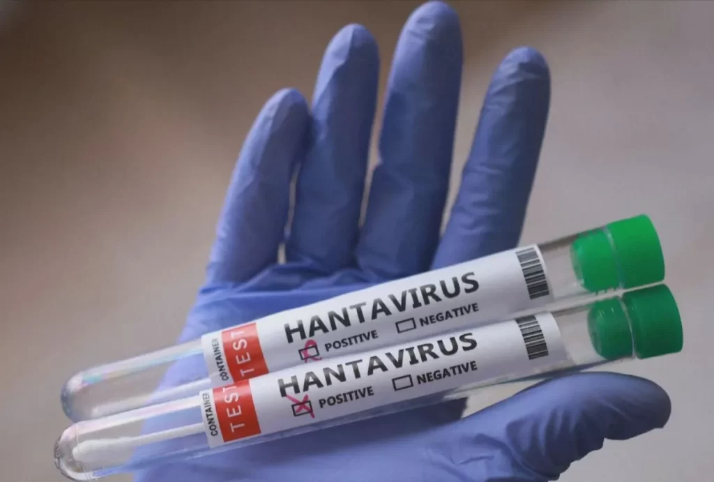 Paraná confirma dois casos de hantavírus no estado; 11 são investigados