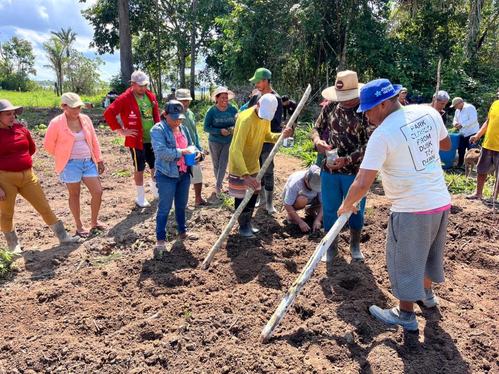 Agricultores familiares de Barreirinha são capacitados pelo Idam no cultivo eficiente de abacaxi