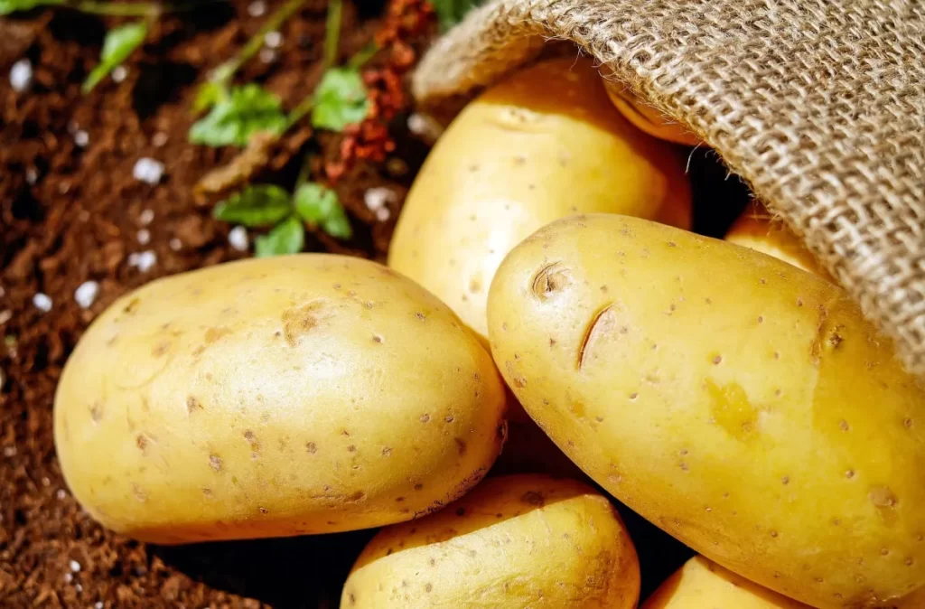 Comida mais cara: inflação de alimentos sobe a 1,33% e alerta agro