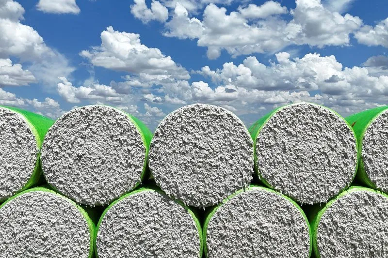 Exportação de algodão do Brasil será recorde em 2026, diz Anea