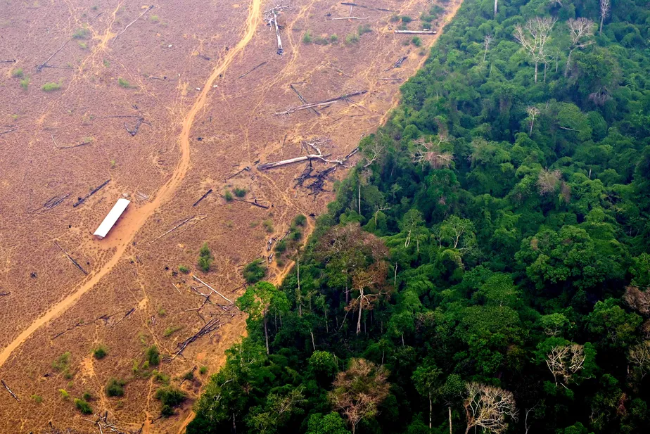 Amazonas registra queda no desmatamento de 38%, mas segue como o 3º estado que mais derruba floresta, segundo Imazon