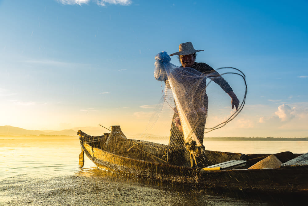 Mais de 900 pescadores do Amazonas recebem pagamentos retroativos do seguro-defeso