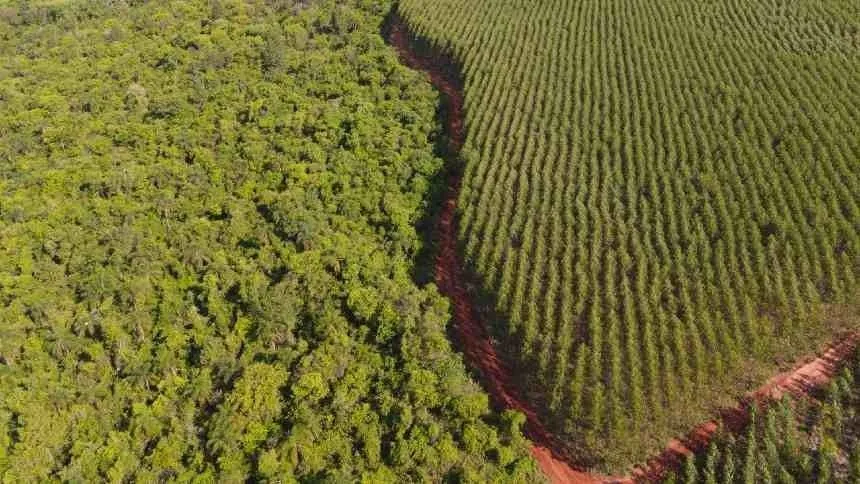 CNA vê tarifa de 12,5% dos EUA contra produtores adequados à lei ambiental