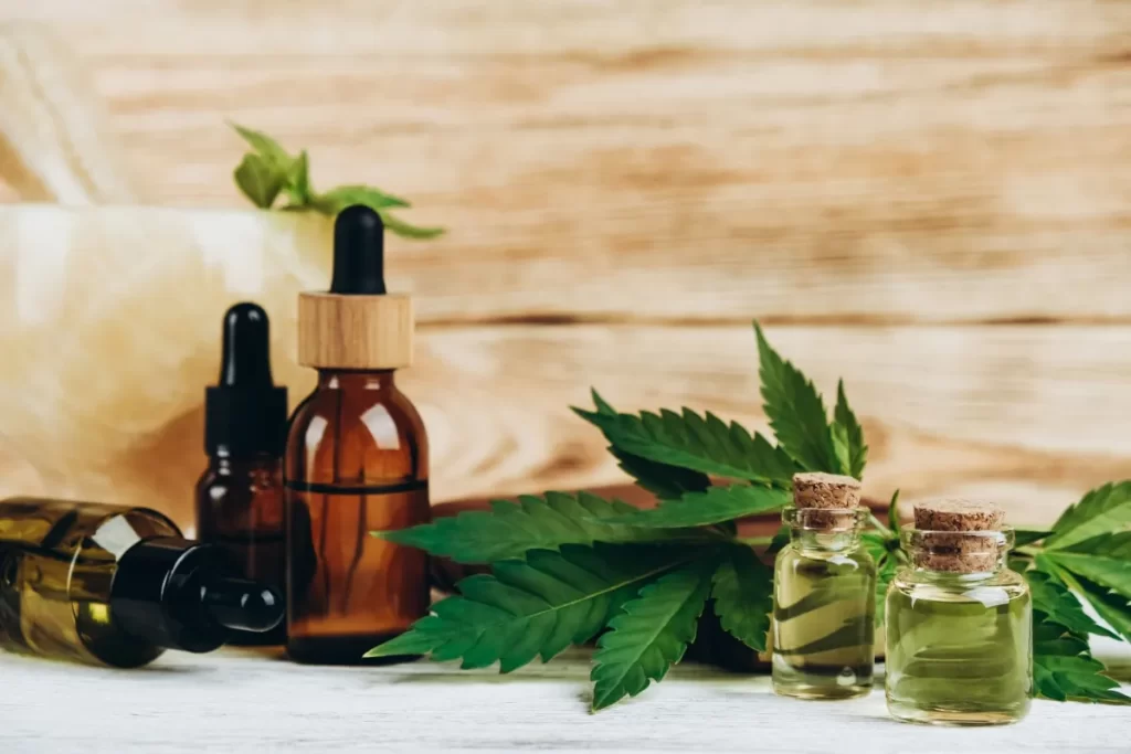 Cannabis manipulada pode reduzir em até 50% o custo dos tratamentos no país