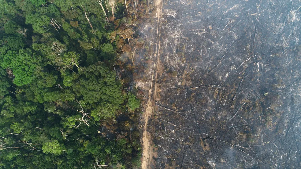 Desmatamento responde por 71% das investigações de crimes ambientais no Amazonas, aponta estudo