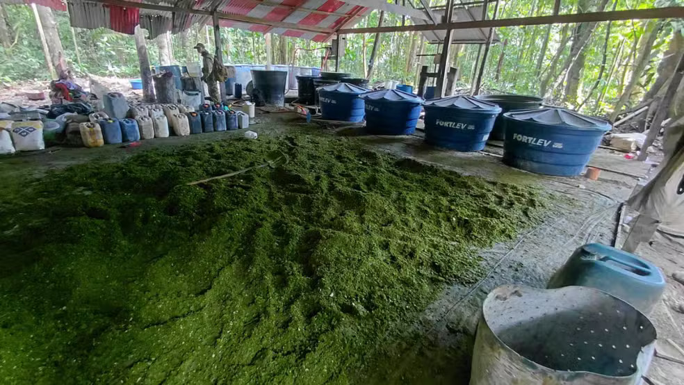 Ação conjunta entre Brasil e Peru destrói quatro laboratórios de drogas na fronteira do Amazonas