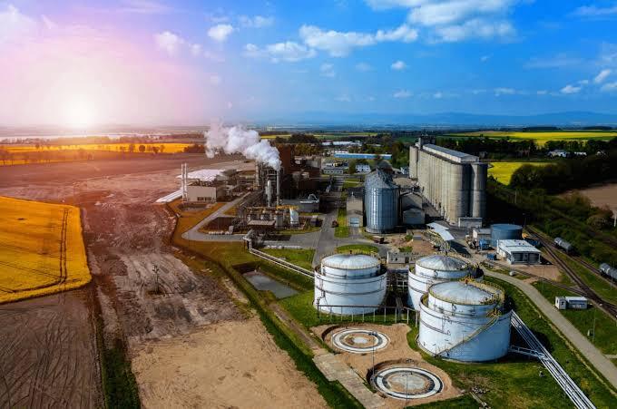 Agroindústria recua e acumula queda no primeiro semestre, aponta FGV Agro