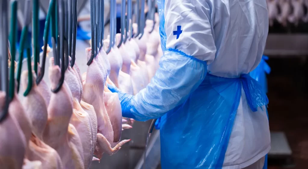 Após missão no Brasil, China habilita quatro novos frigoríficos
