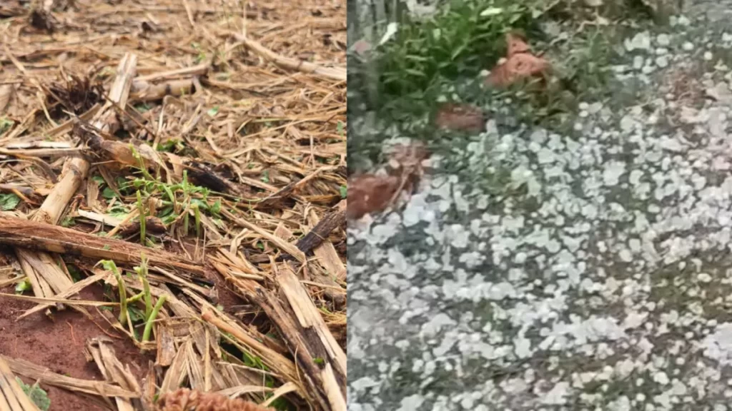 Dois tornados atingem cidades no Paraná, diz Simepar; veja vídeo