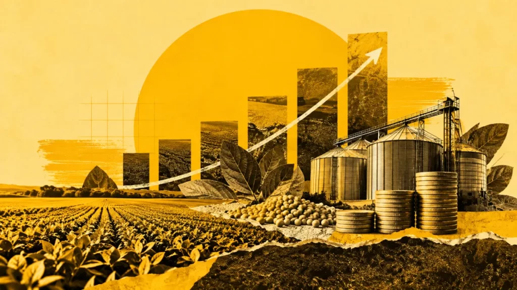 Valor da produção agropecuária brasileira soma R$ 1,44 trilhão em setembro
