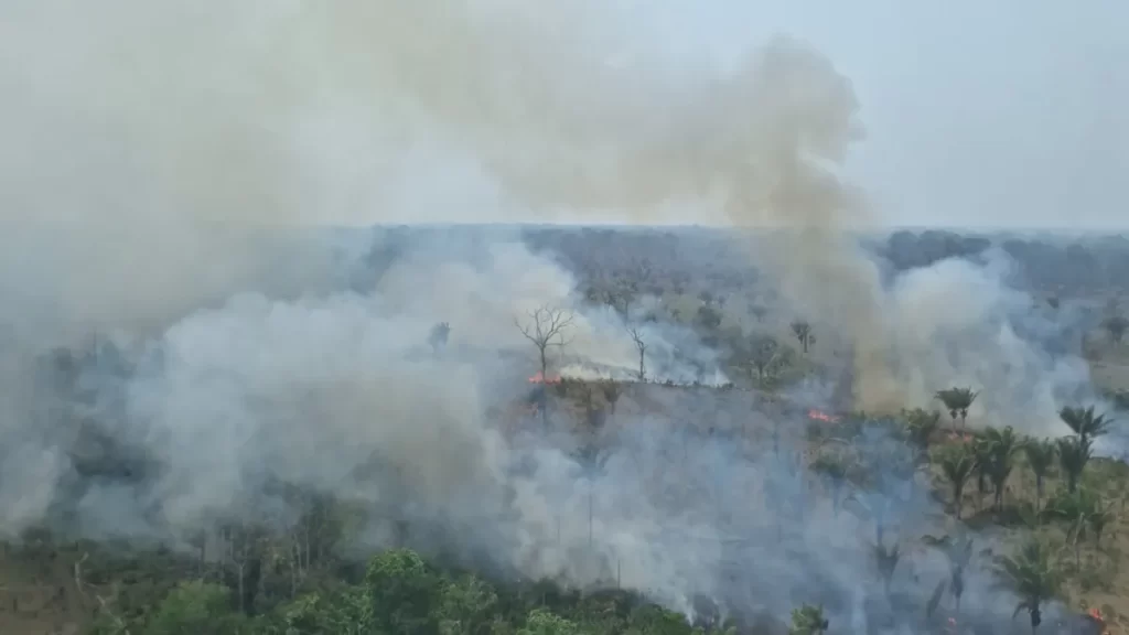 PF abre nove inquéritos para investigar incêndios no Amazonas