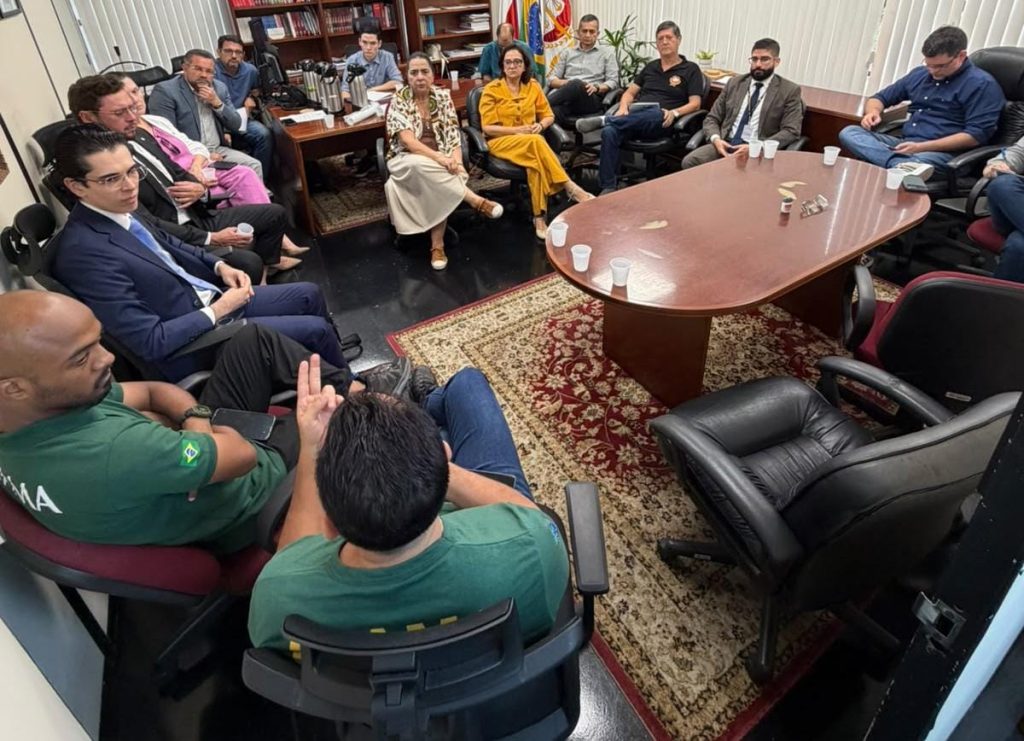 MPAM e órgãos federais alinham atuação para responsabilizar criminalmente autores de queimadas no Amazonas