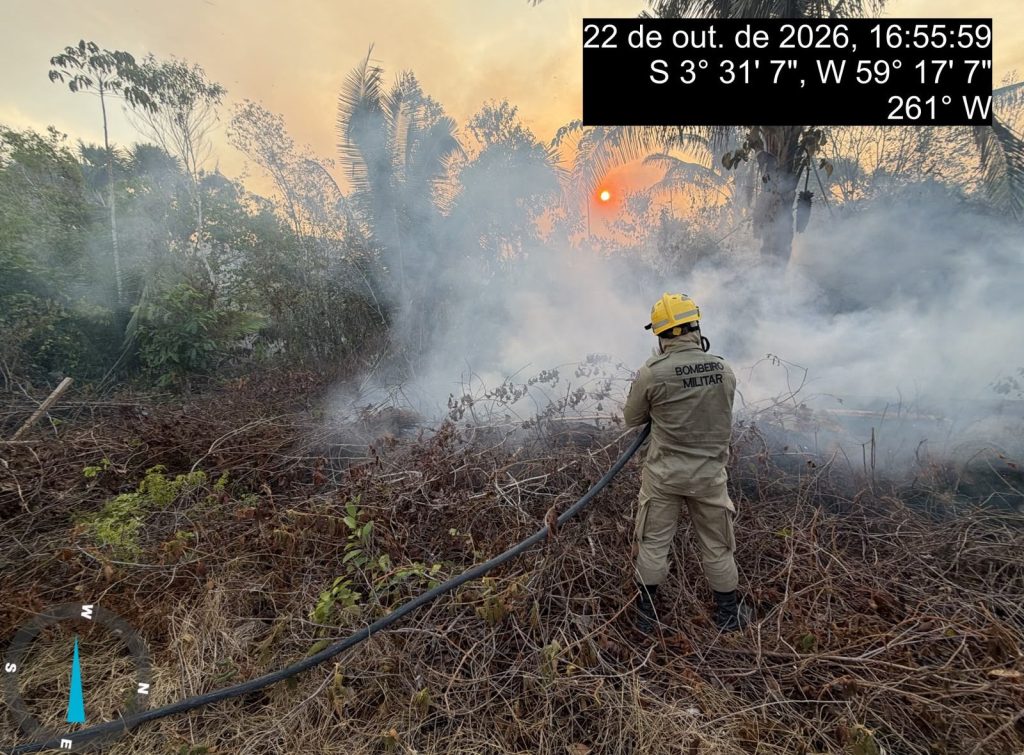 Bombeiros extinguem incêndio em vegetação na rodovia AM-254