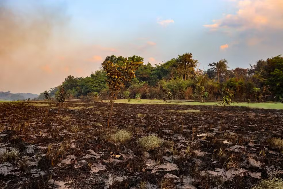 Incêndio na comunidade Canaçari, em Itacoatiara, já dura quase três semanas
