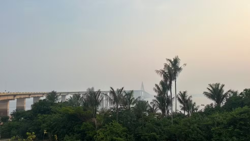Governo federal envia alertas de incêndio por WhatsApp a moradores de áreas afetadas no Amazonas