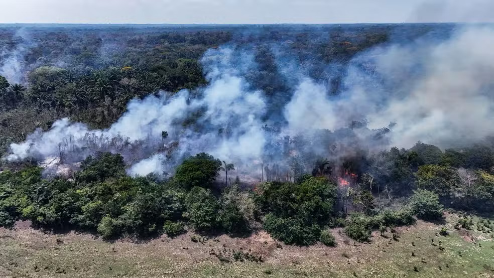 Incêndio chega ao 17º dia e avança por área de mata fechada em Itacoatiara